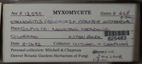 Image Associated With the Occurence